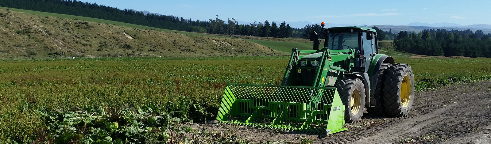 Fodder Beet Harvest Bucket